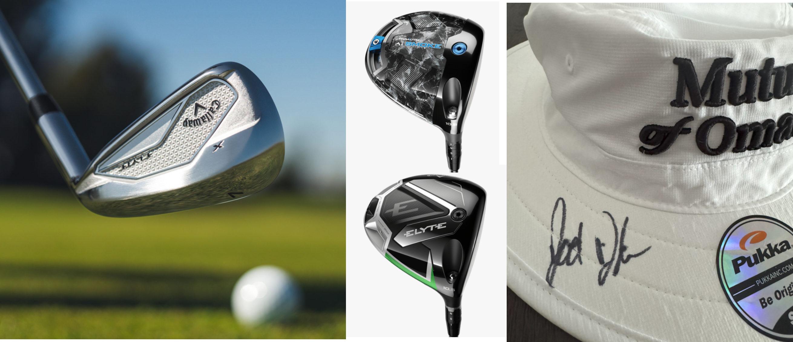 Campaign cover image for DFTF Fall Fundraiser !