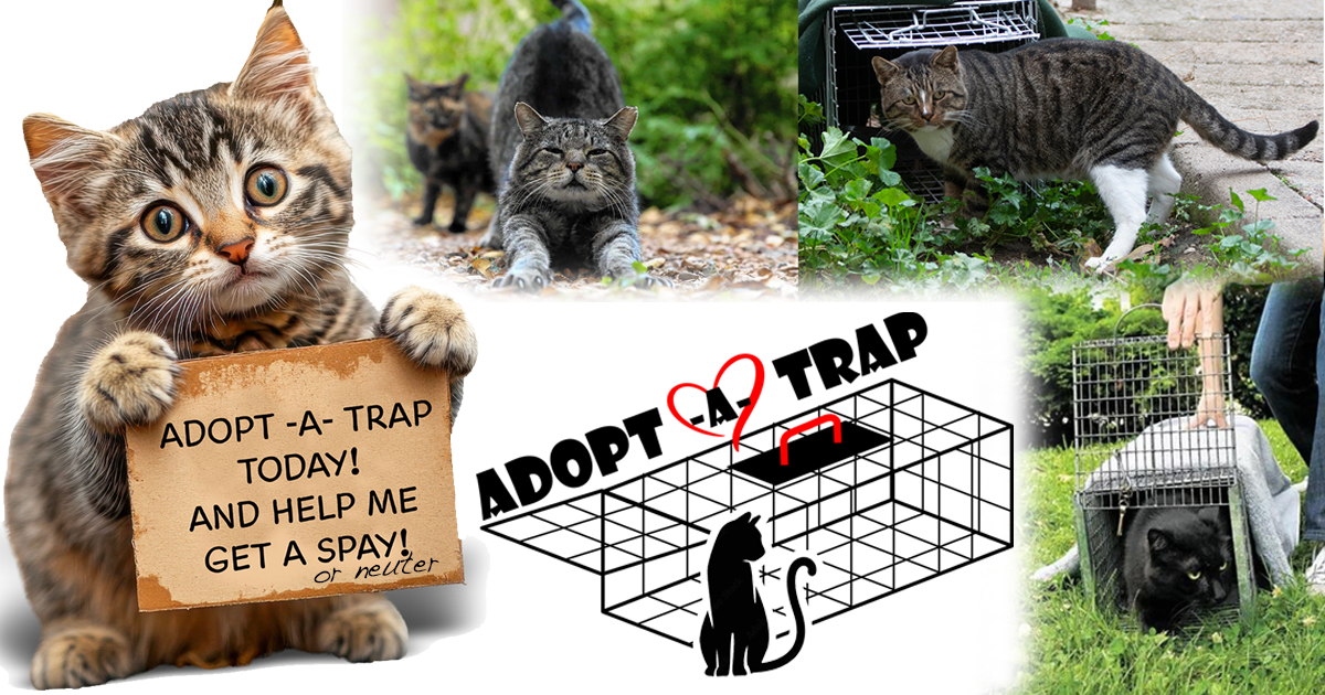 Campaign cover image for Adopt a Trap