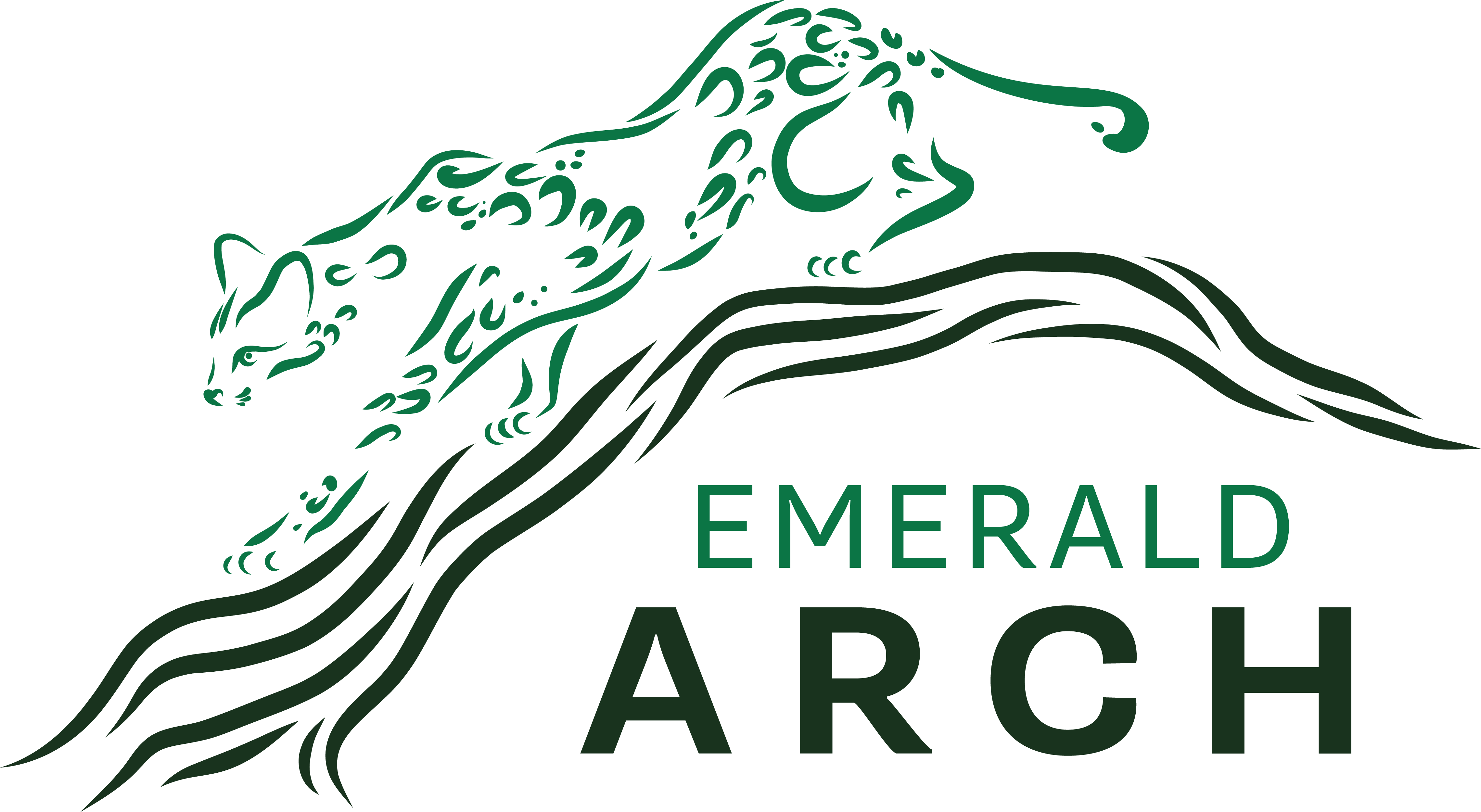 Campaign cover image for Emerald Arch Cocktail Gala