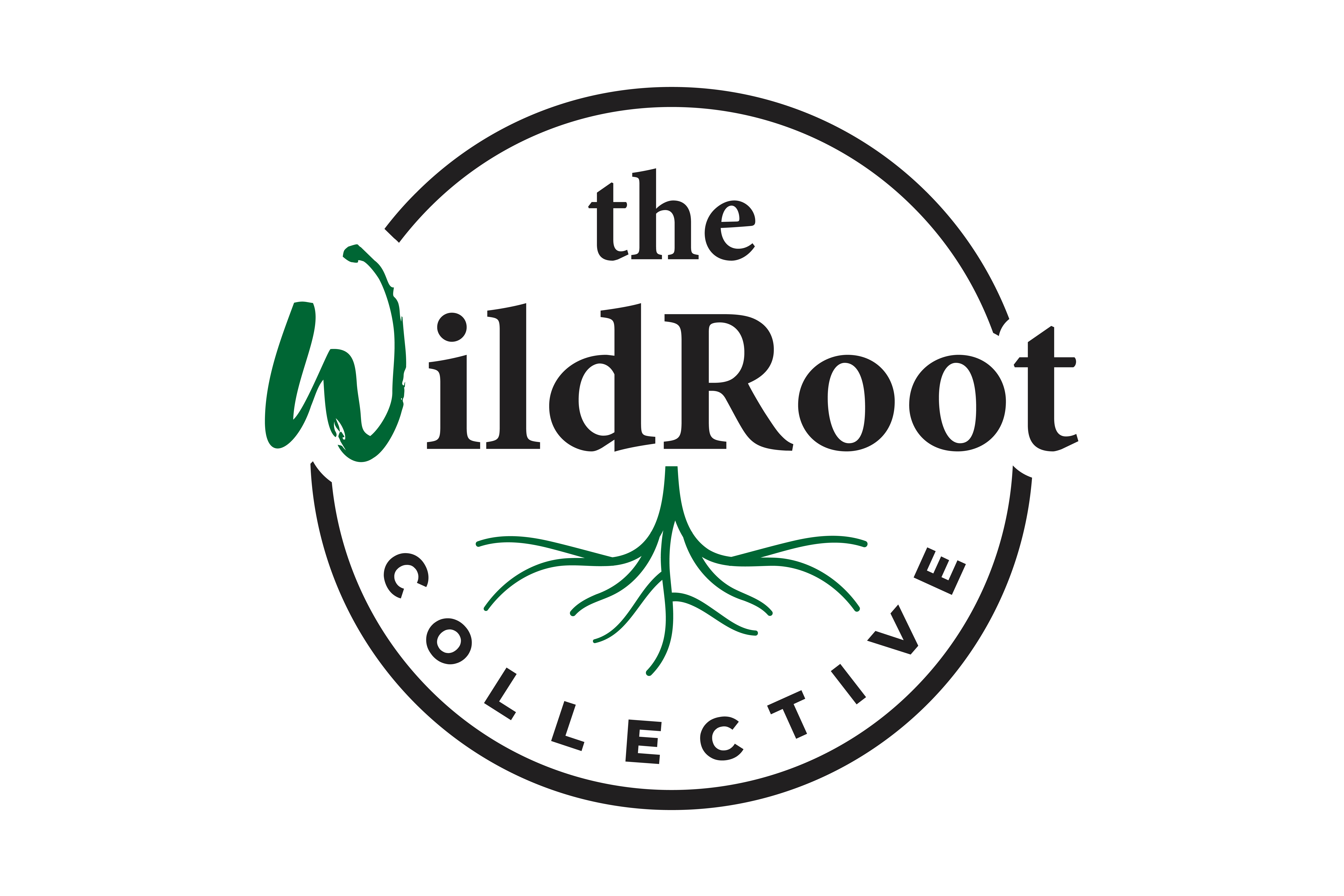Campaign cover image for Partner With The WildRoot Collective