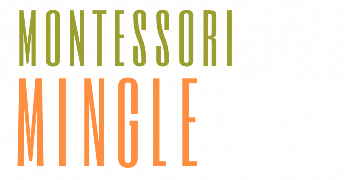 Campaign cover image for 2025 Montessori Mingle