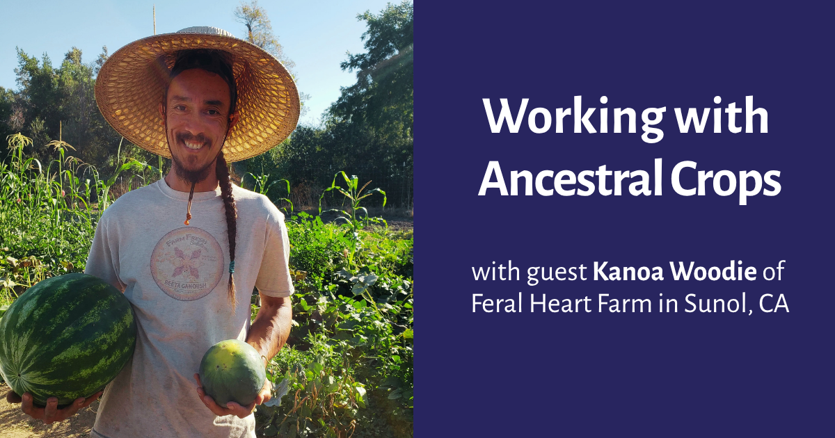 Campaign cover image for Working with Ancestral Crops