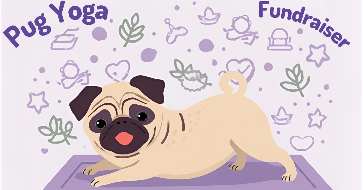 Campaign cover image for Pug Yoga