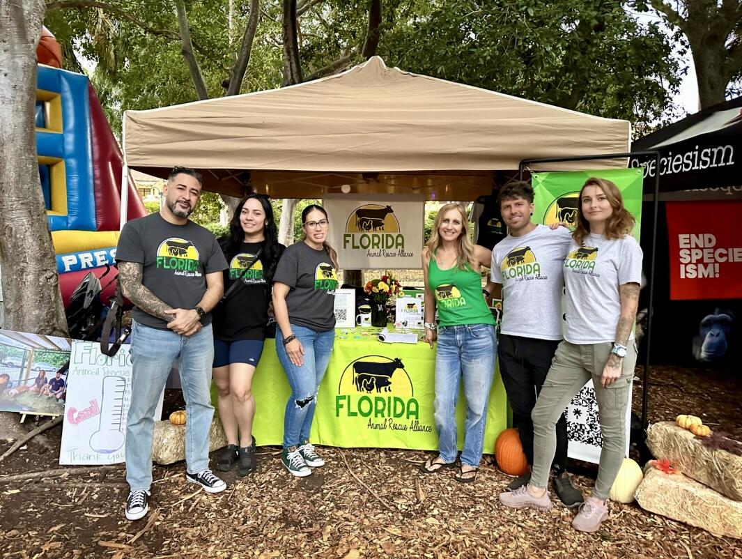 Campaign cover image for Giving Tuesday