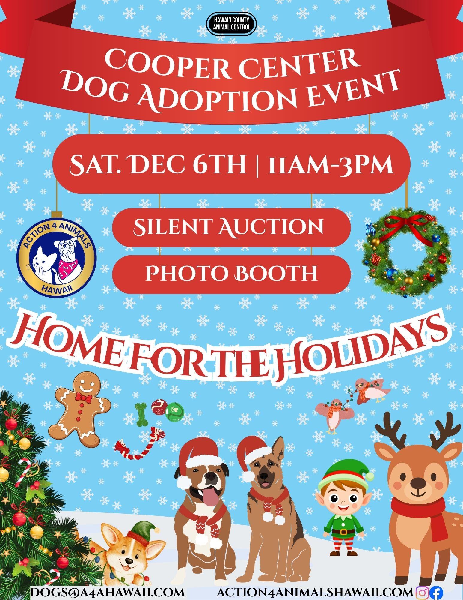 Campaign cover image for Christmas Silent Auction