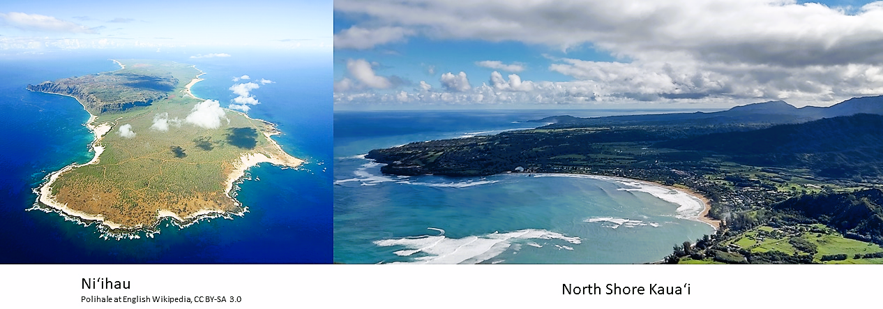 Campaign cover image for Donate to help Niʻihau and Kauaʻi Recover from Lowell