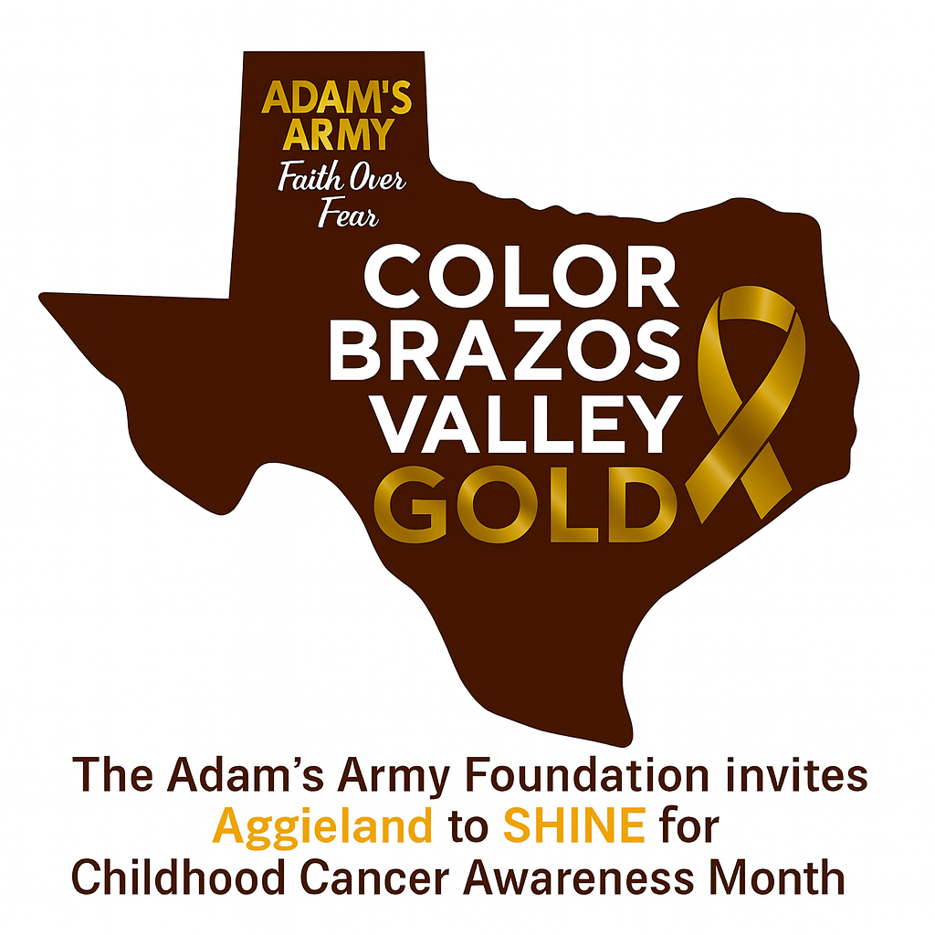 Campaign cover image for Color Brazos Valley GOLD
