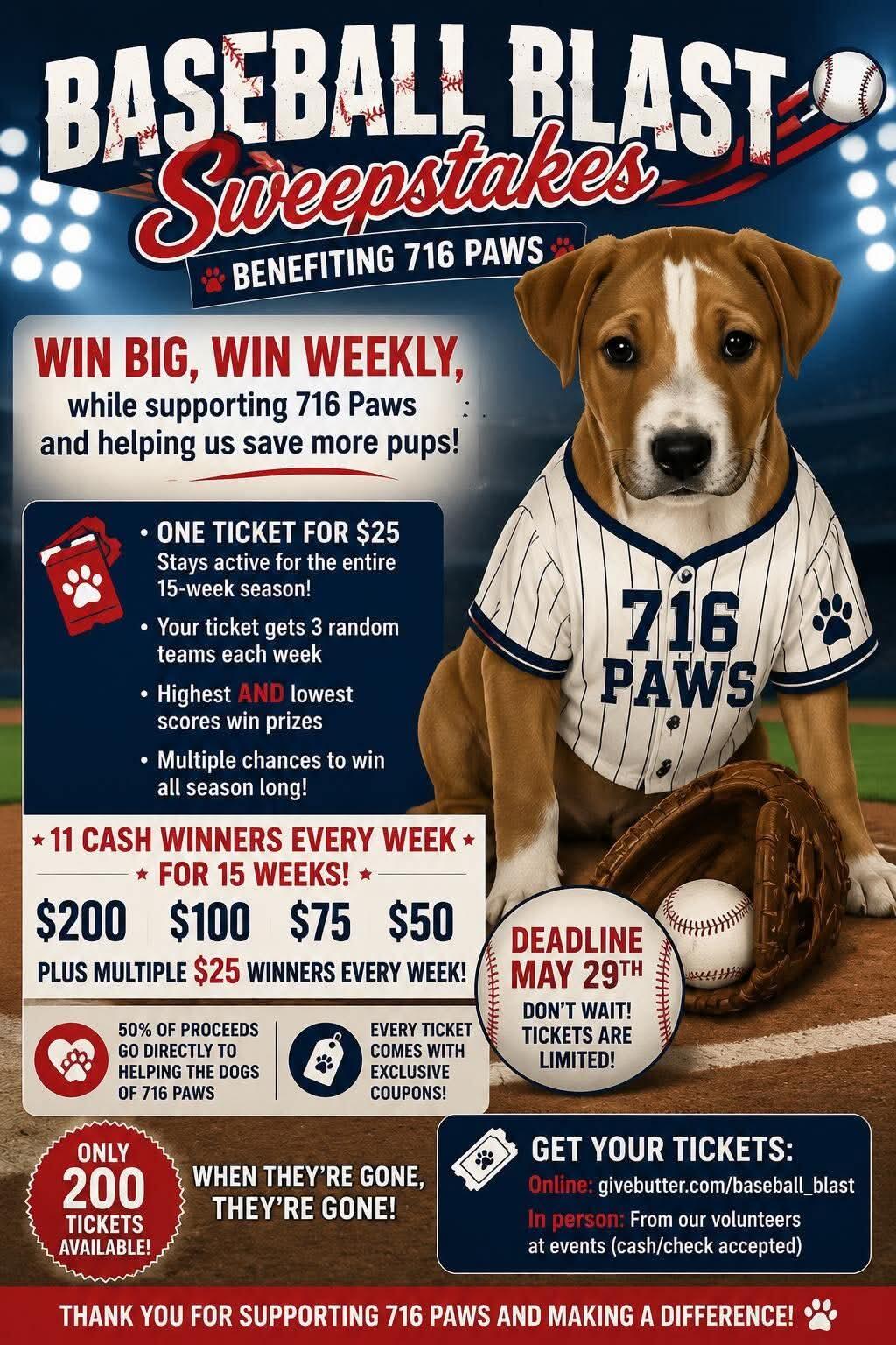 Campaign cover image for Baseball Blast 2026