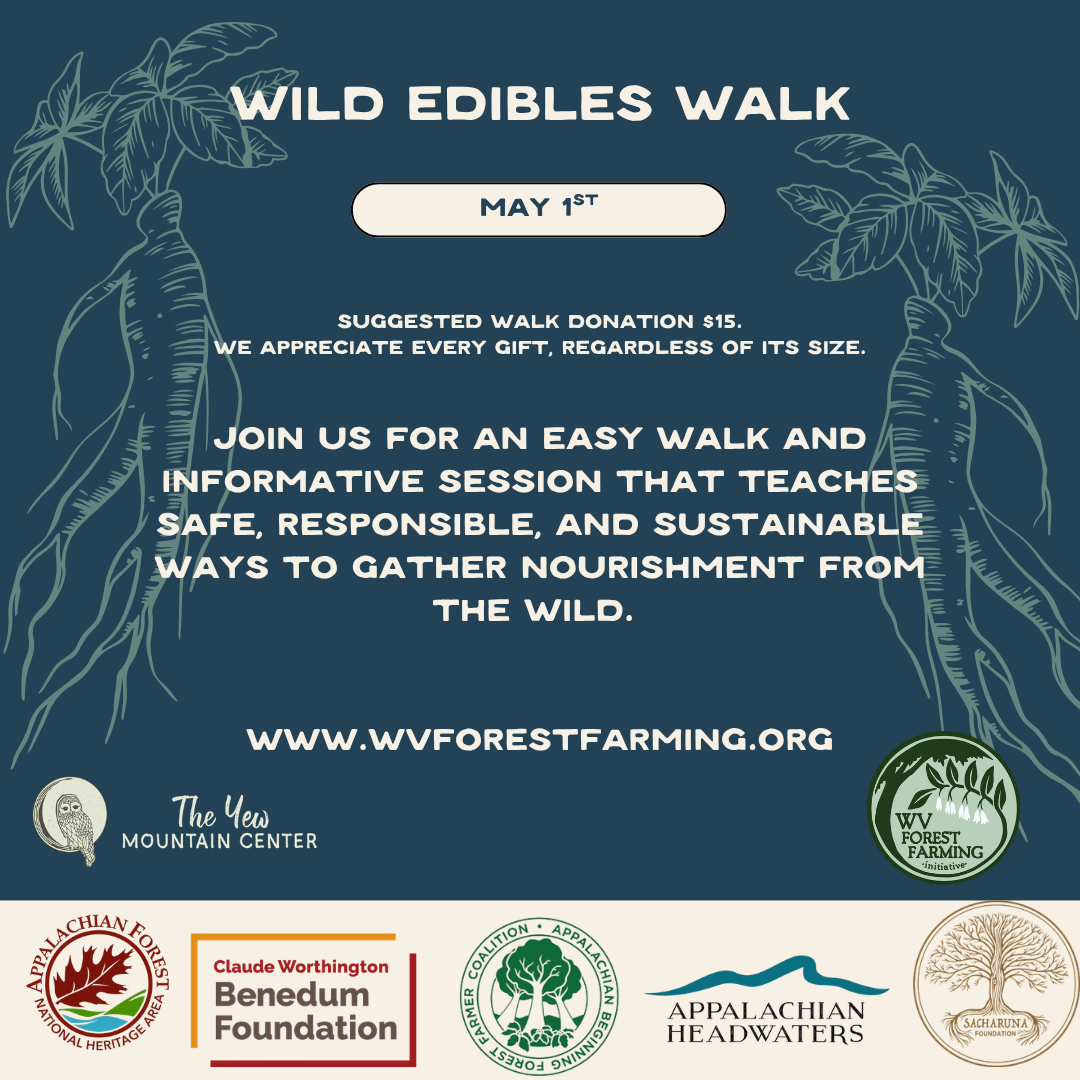 Campaign cover image for Wild Edibles Walk