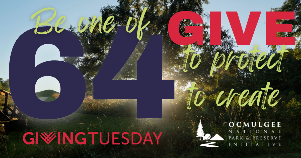 Campaign cover image for Give to protect. Give to create.