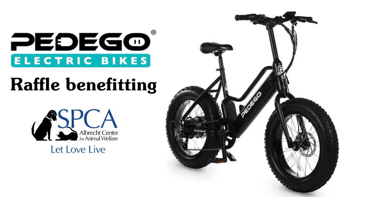 Campaign cover image for SPCA Pedego Bike Fundraiser