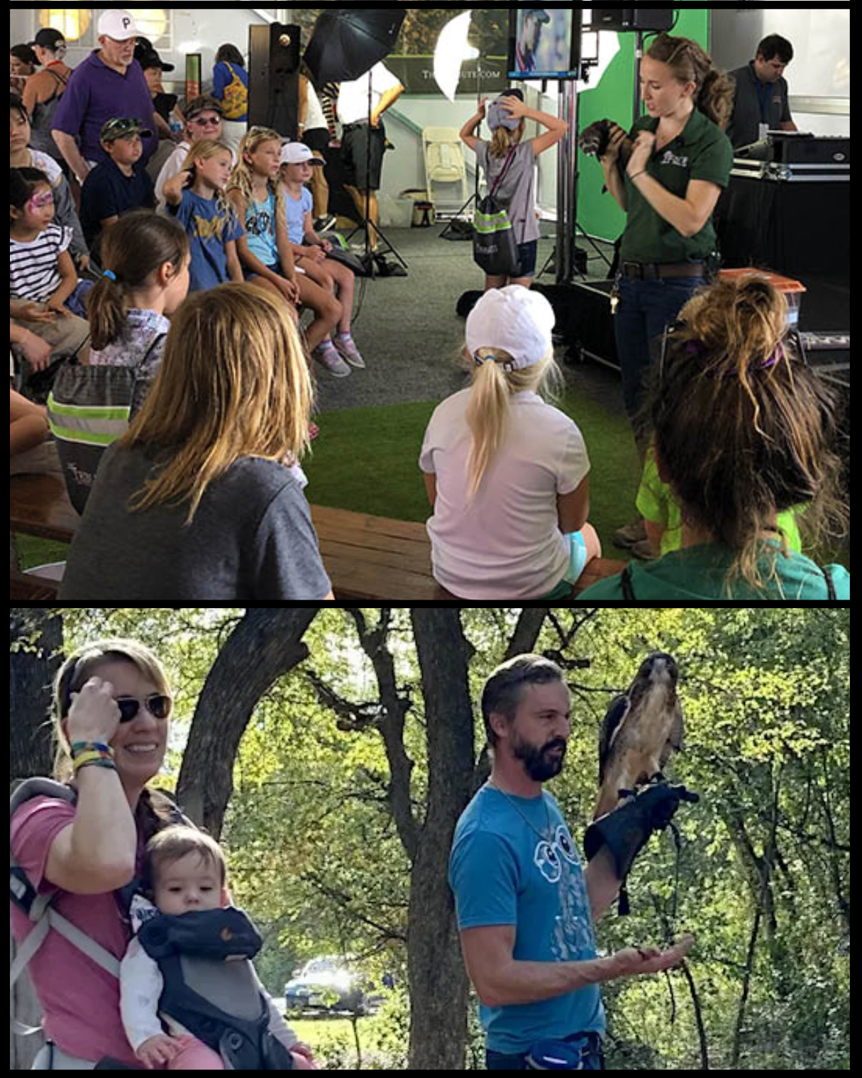 Campaign cover image for Animal Encounters at the Wetland Center