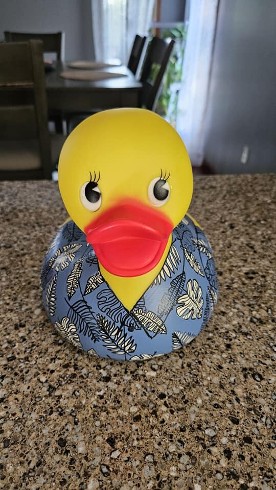 Campaign cover image for Dean & Amber Klempke Realtors' DUCK-orating Page