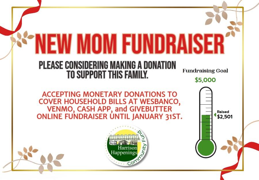 Campaign cover image for New Mom Fundraiser