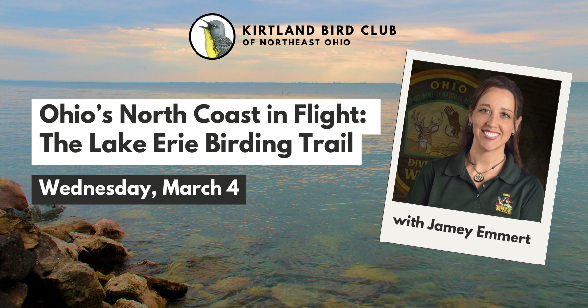 Campaign cover image for Ohio’s North Coast in Flight: The Lake Erie Birding Trail