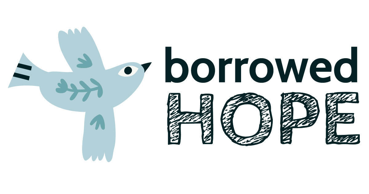 Campaign cover image for Borrowed Hope Summer Fun Fund