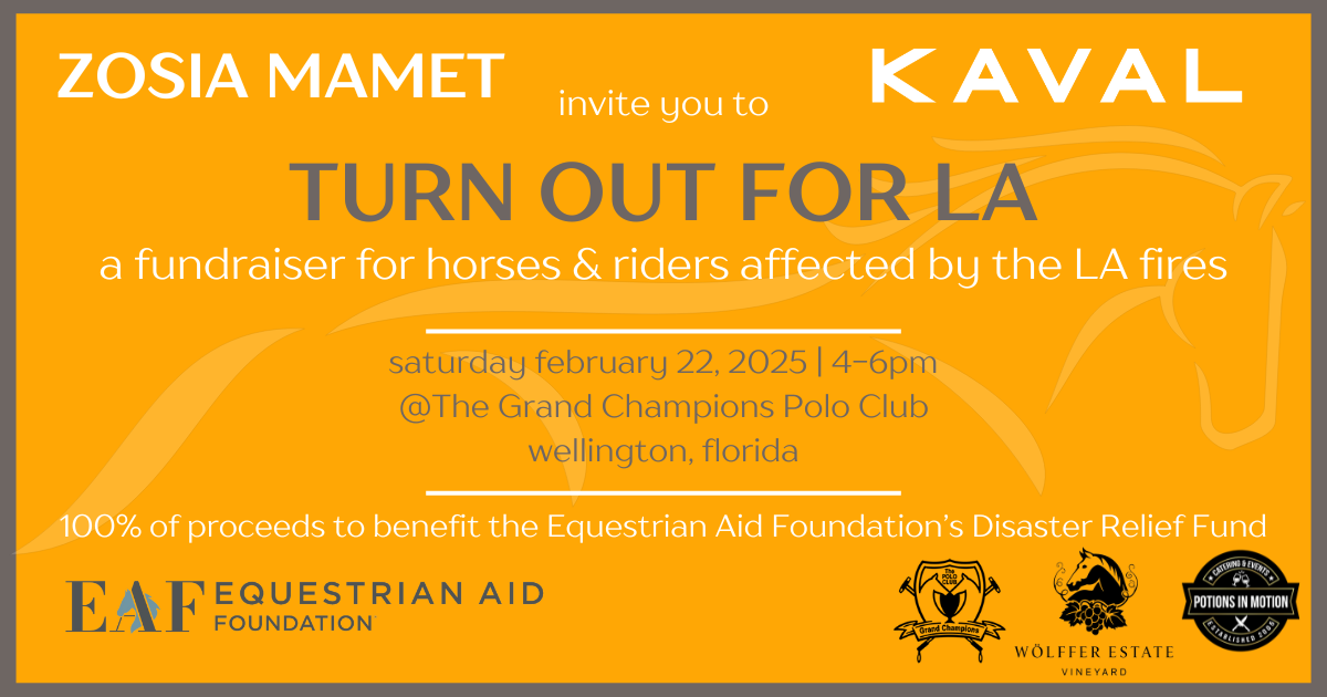 Campaign cover image for "Turn Out For LA"  | Disaster Relief Fundraiser