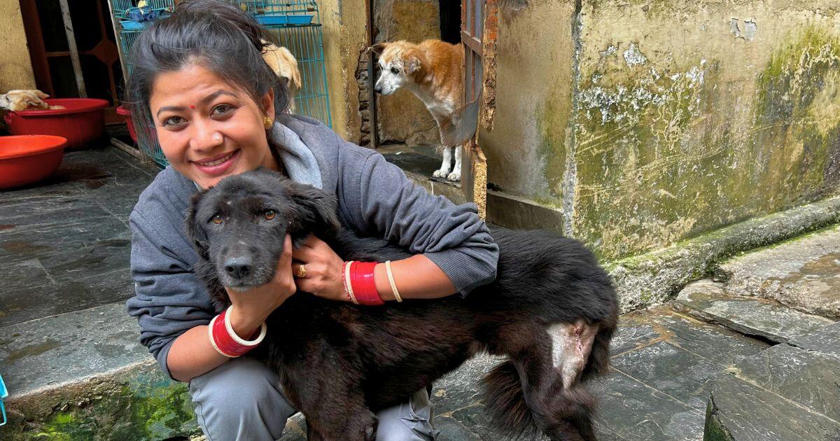 Campaign cover image for End of Year Match - Street Dog Fund