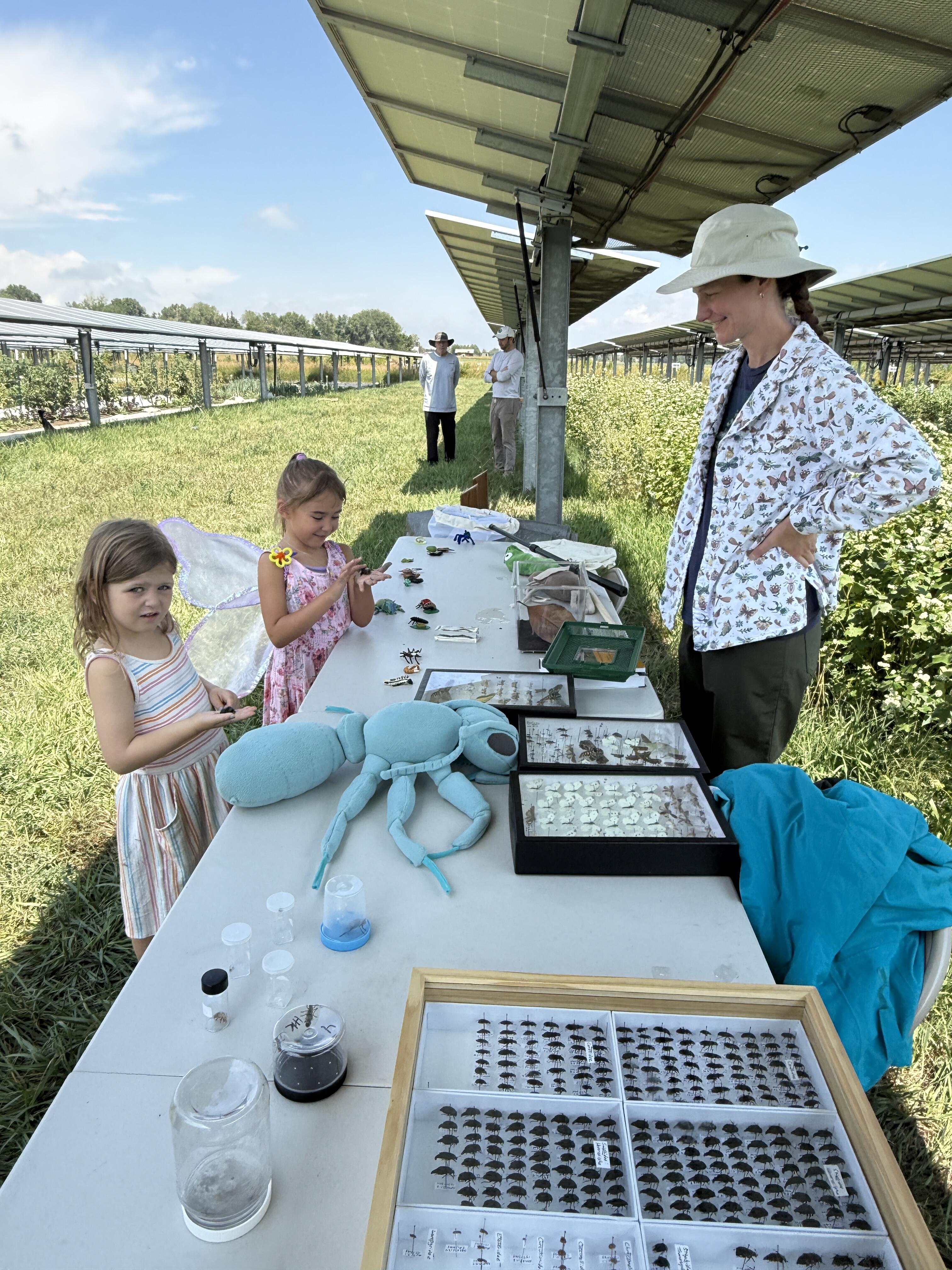 Campaign cover image for Pollinator Palooza 2026