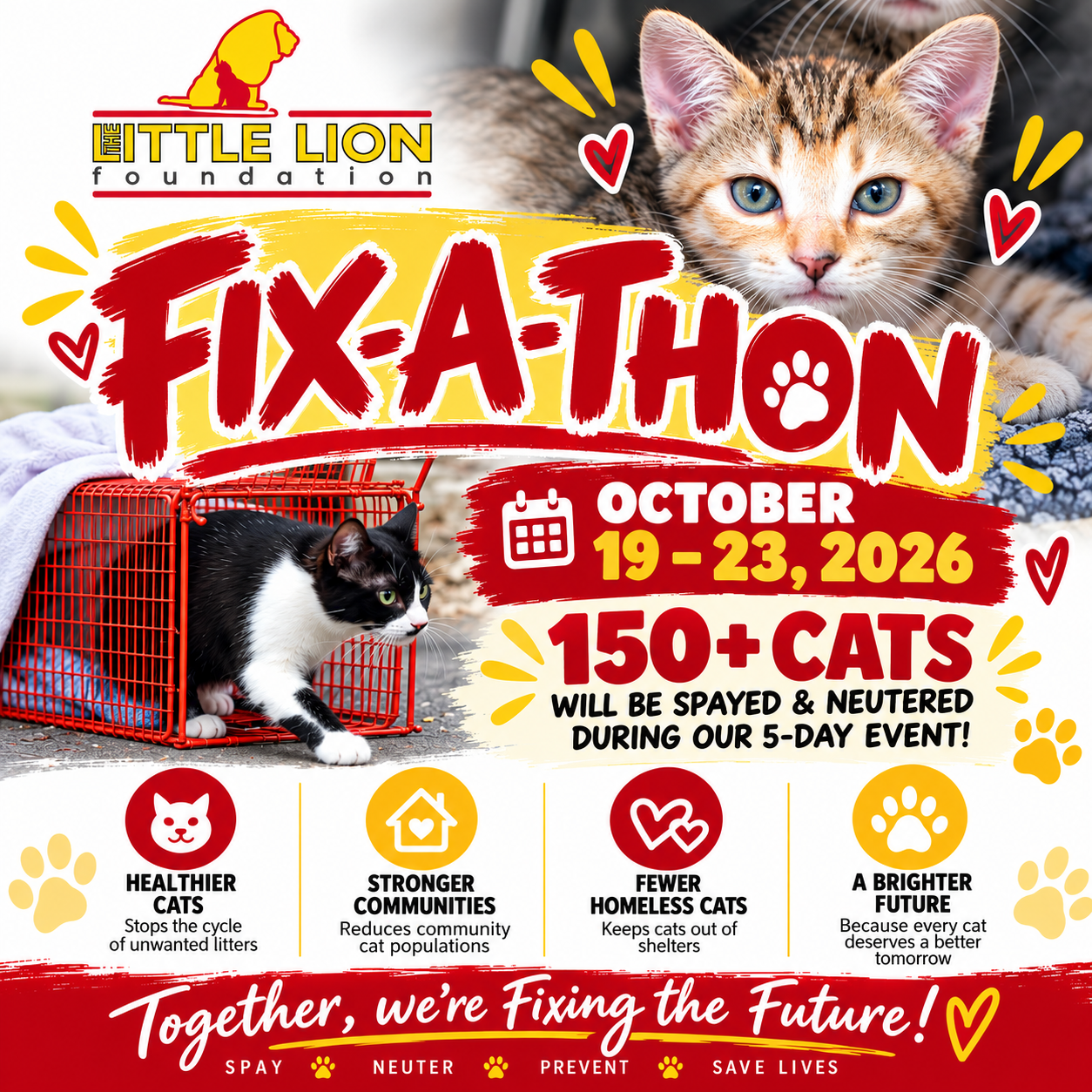 Campaign cover image for Fix-a-thon