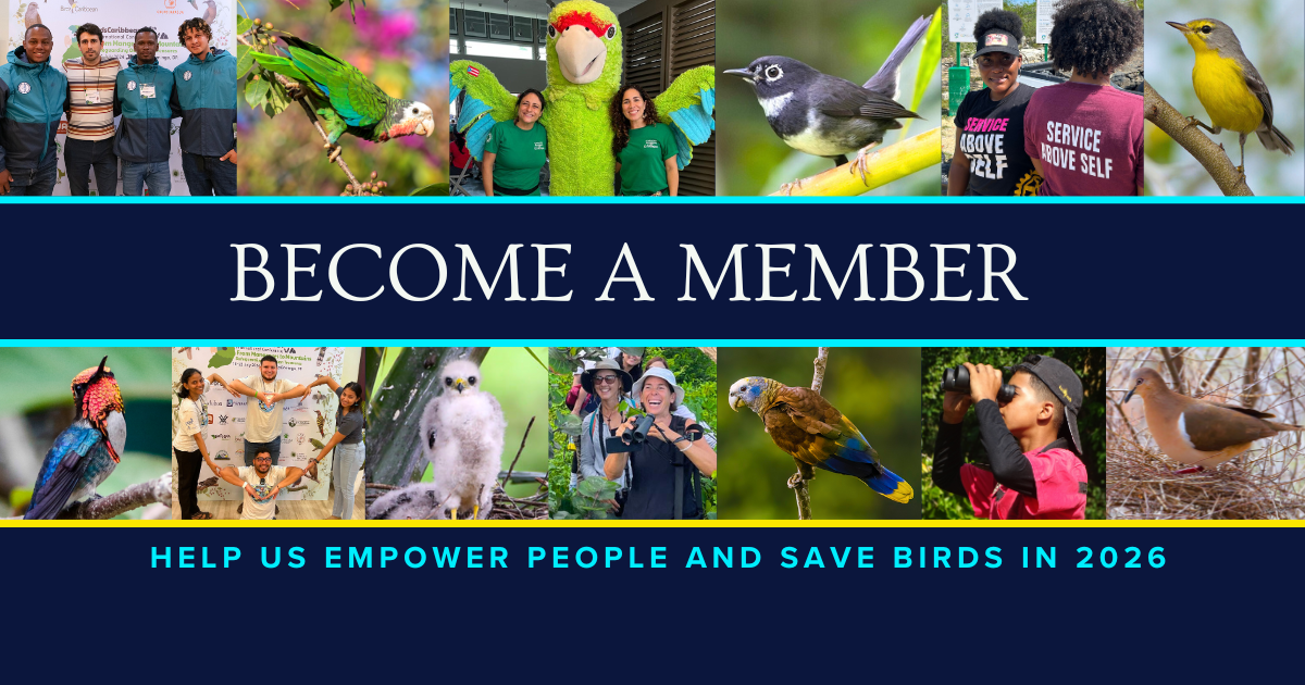 Campaign cover image for Join BirdsCaribbean Today!