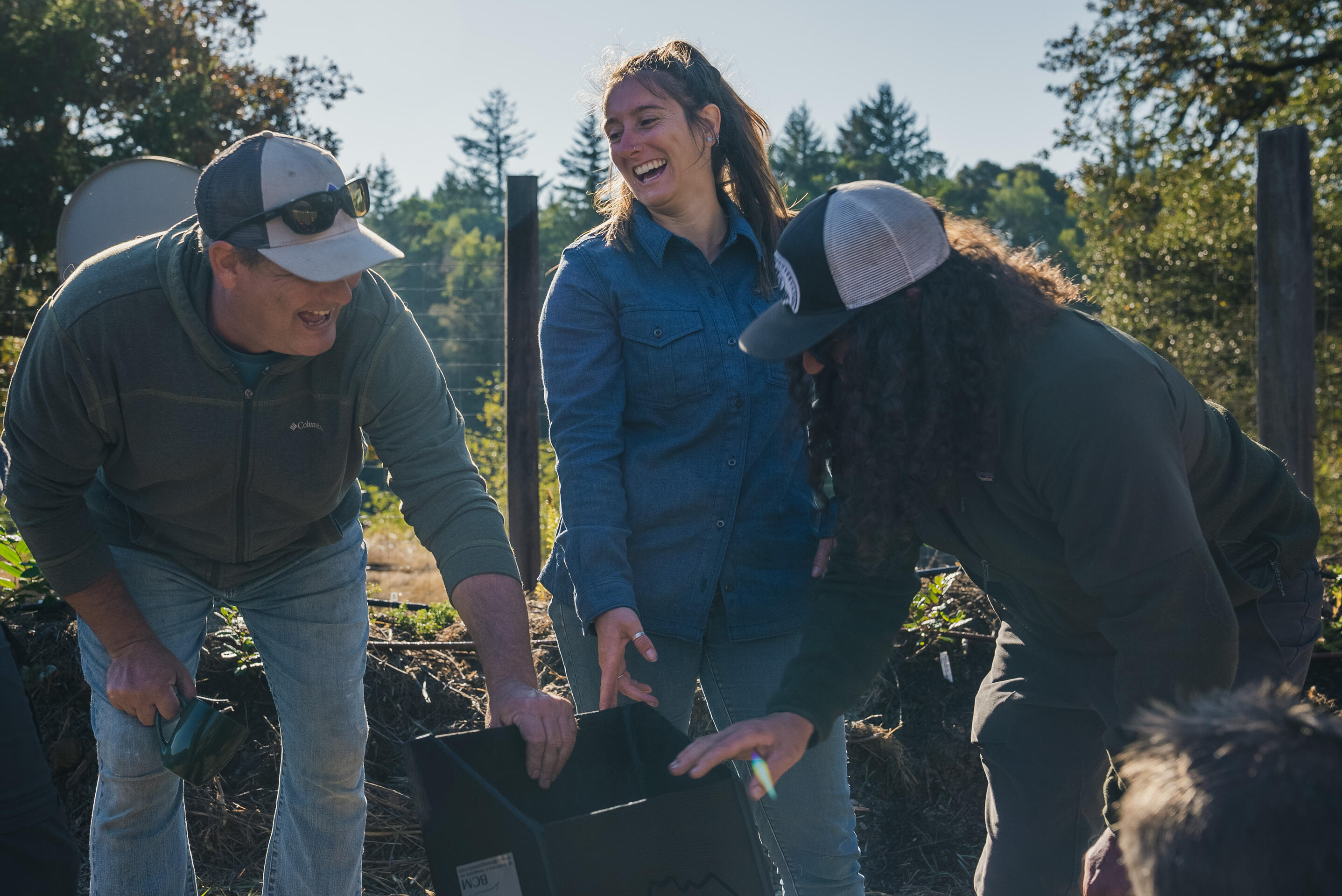 Campaign cover image for Donate to Cannabis for Conservation