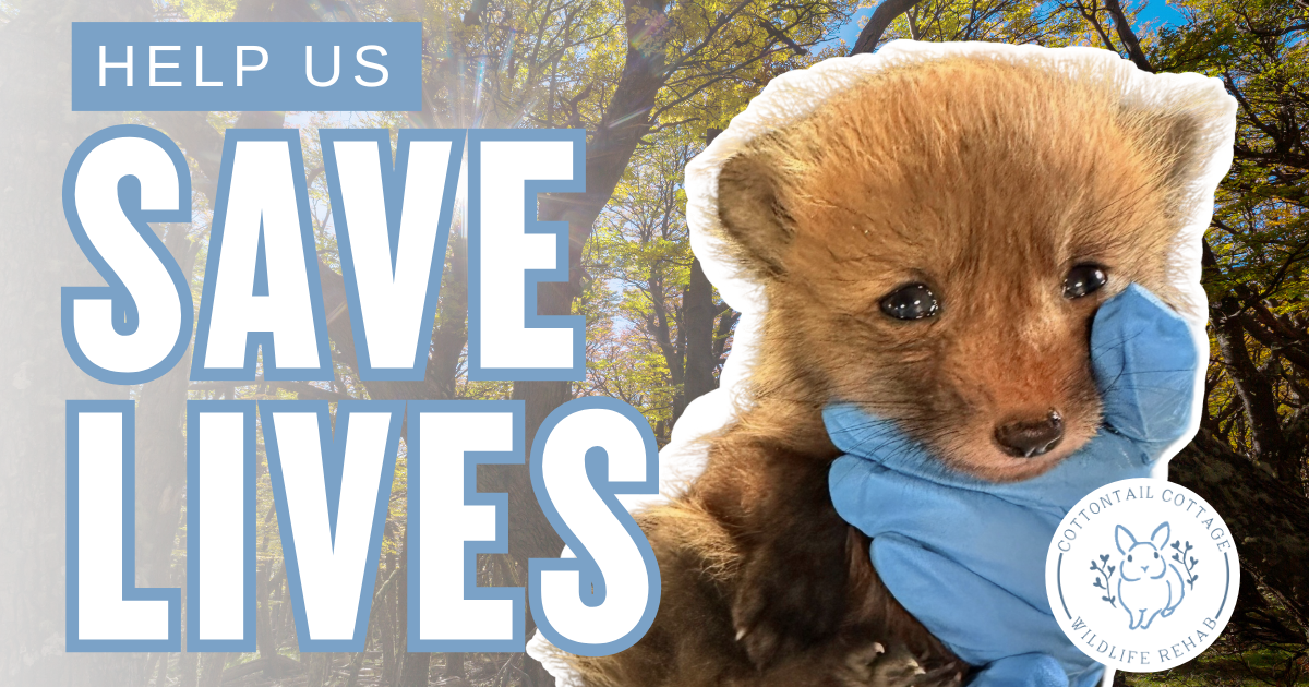 Campaign cover image for Help Us Save Lives