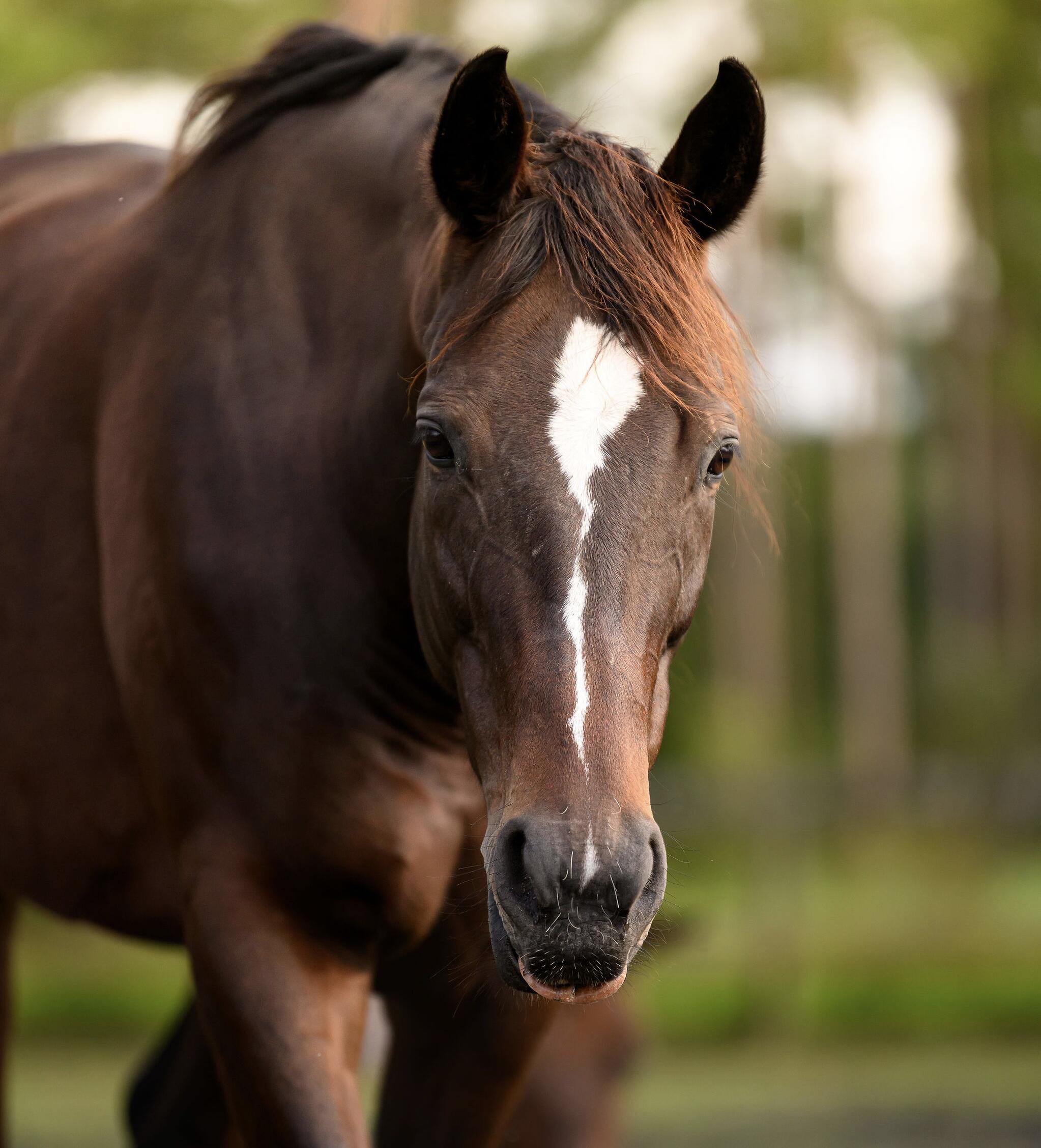 Campaign cover image for ERAF Yoga Fundraiser