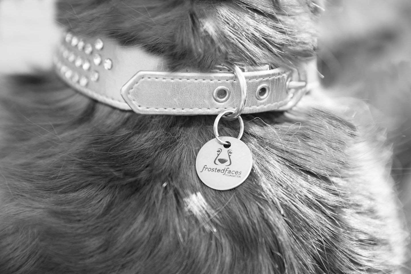 Campaign cover image for Giving Tuesday: Prescription Program