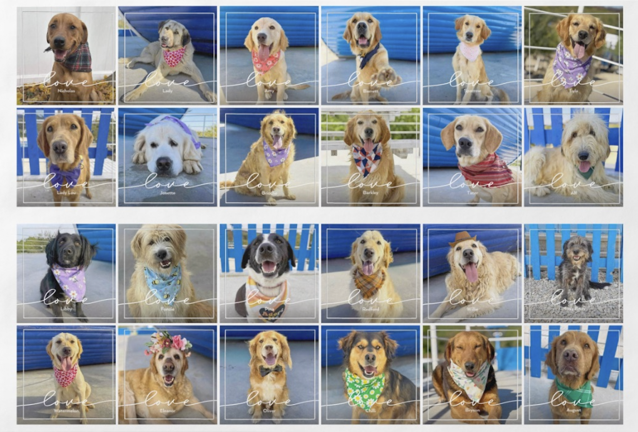 Campaign cover image for 2025 TPGHR Holiday Stickers