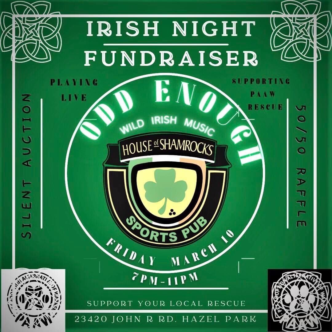 Campaign cover image for Irish Night Fundraiser