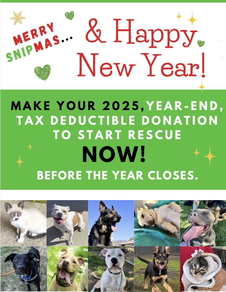 Campaign cover image for Merry SNIPmas and Happy New Year!