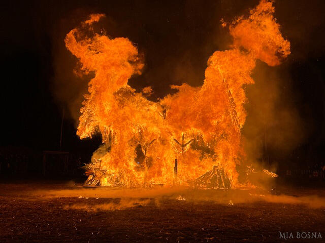 Campaign cover image for 2025 Firebird Festival - Supporter Section