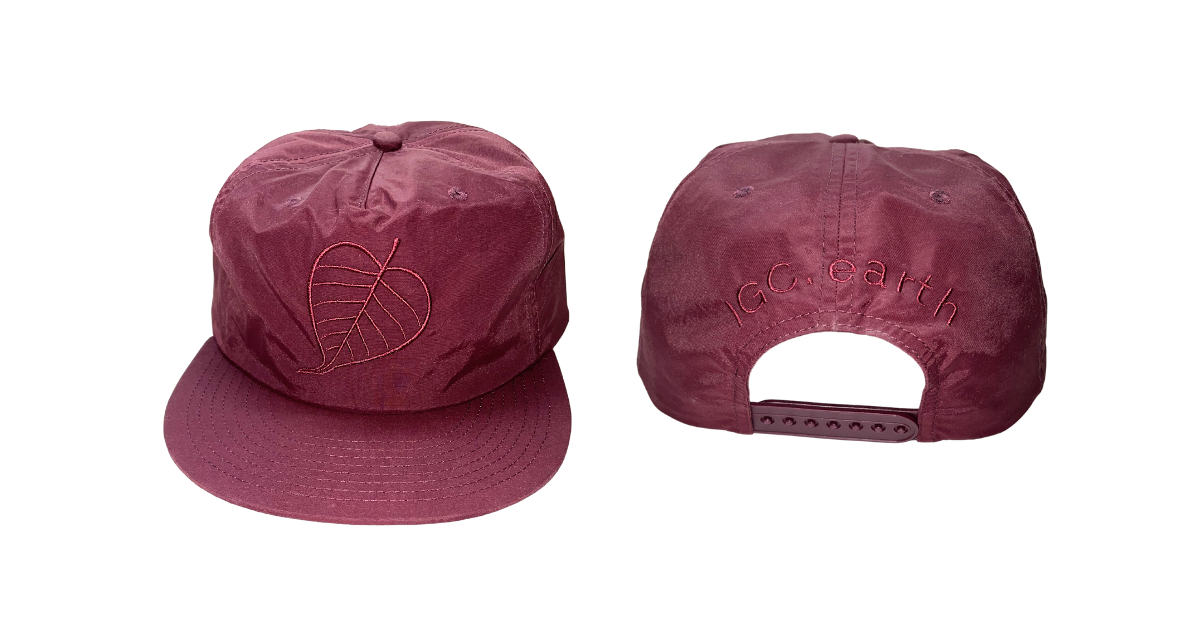 Campaign cover image for Hats off for Carbon Literacy!