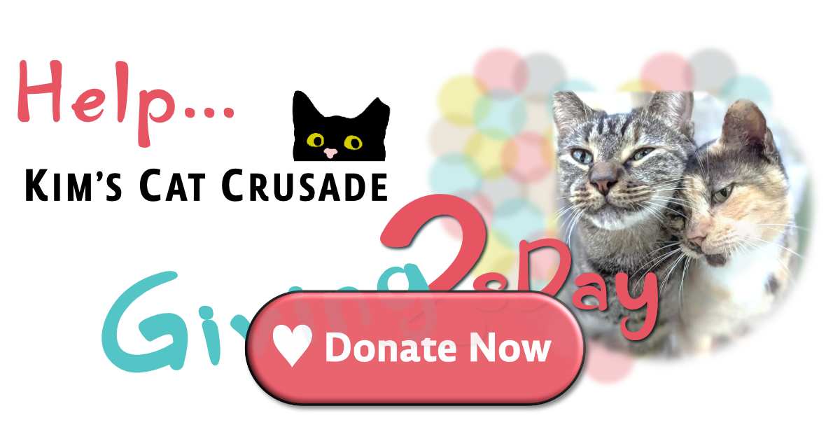 Campaign cover image for DONATE TODAY for this Holiday Season