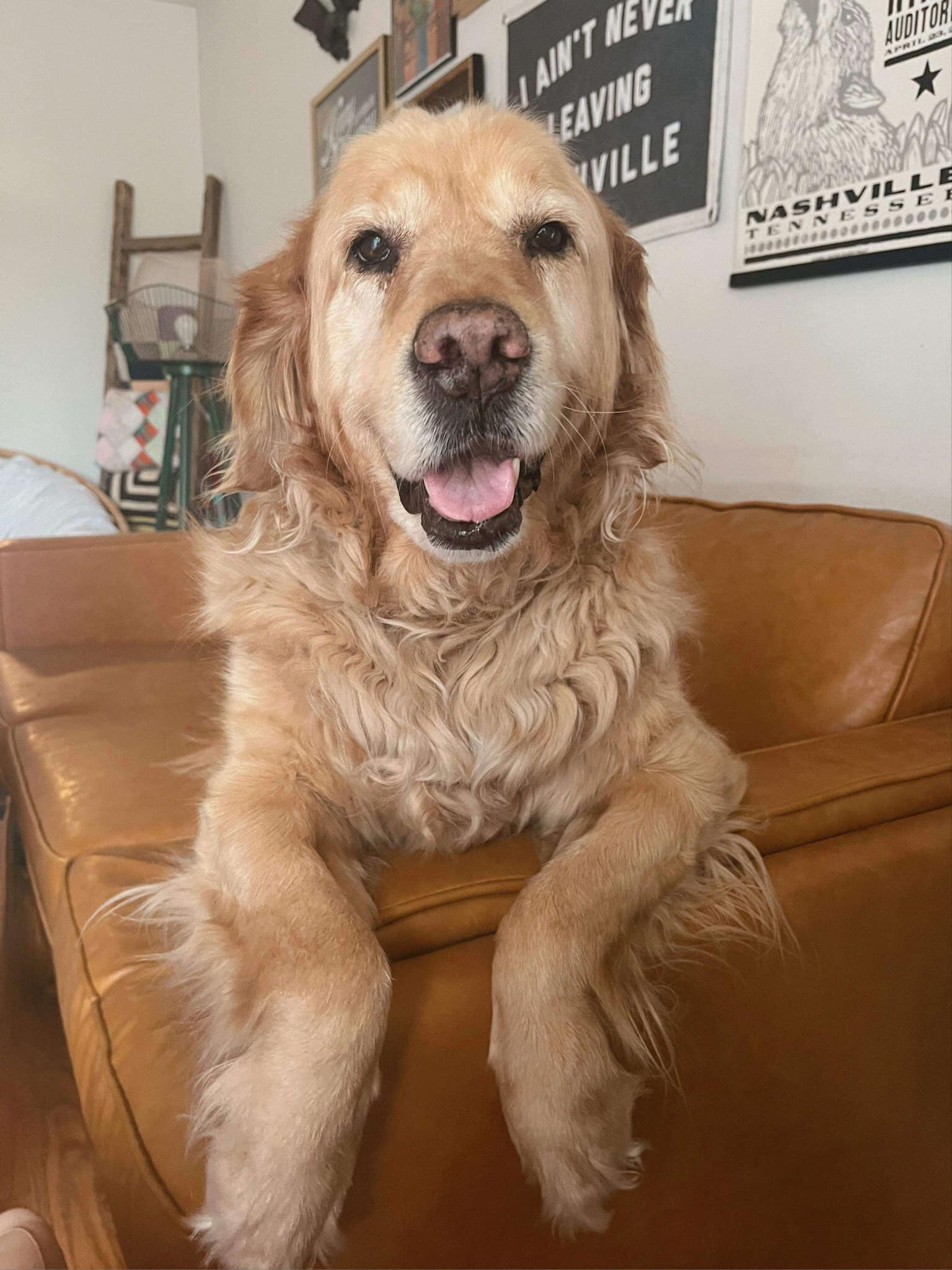 Campaign cover image for Tali Gives a Toy