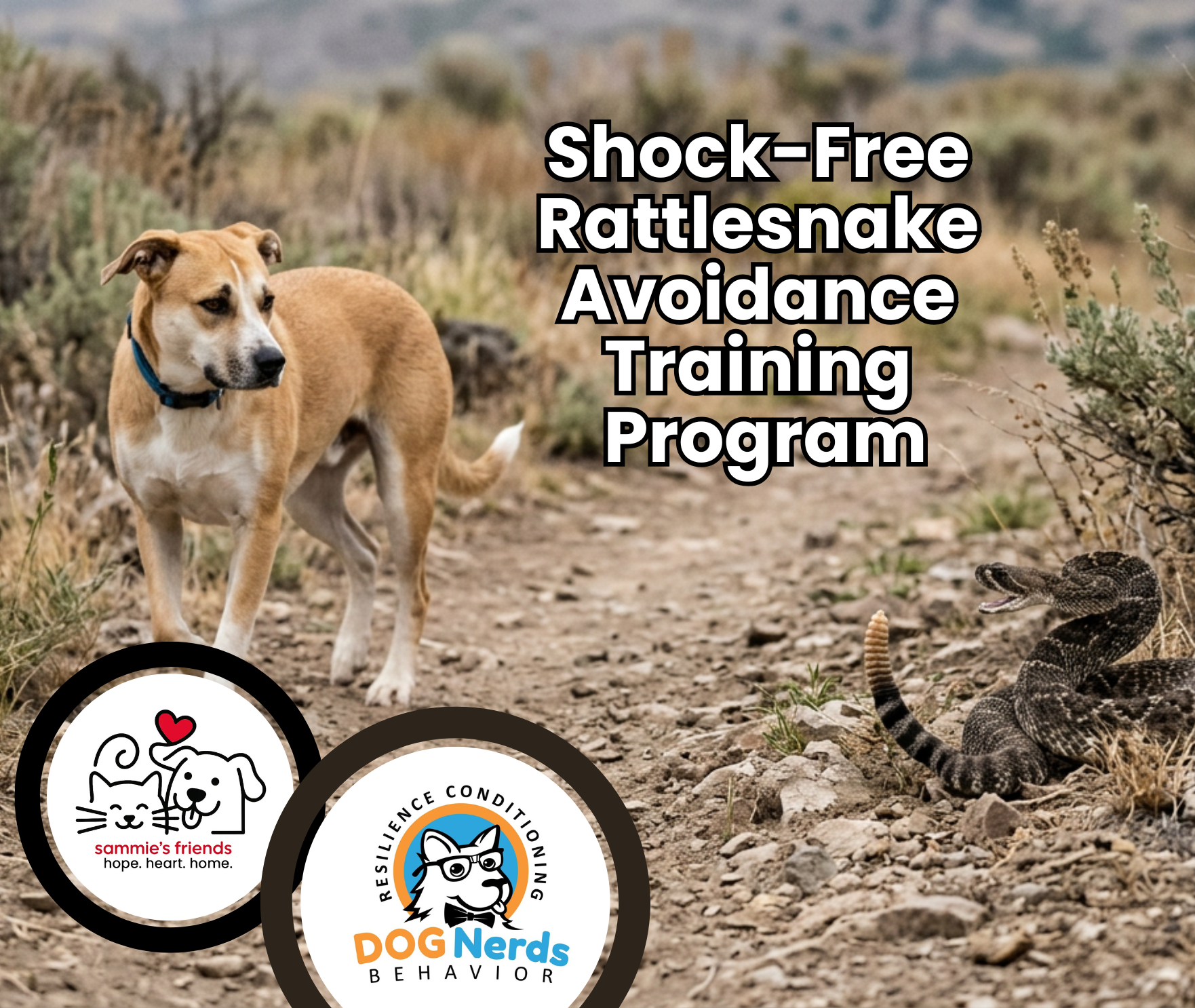 Do Not Rattle Shock-Free Rattlesnake Avoidance Training Program | Sammie's Friends