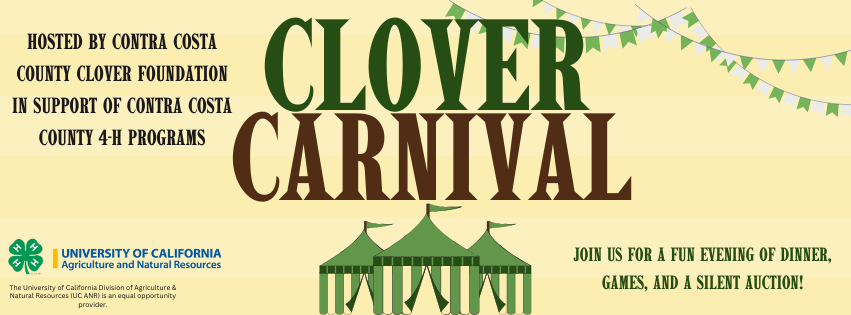 Campaign cover image for Clover Carnival