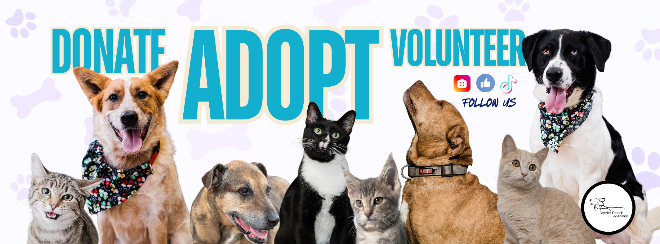 Campaign cover image for Support Fayette Friends of Animals!