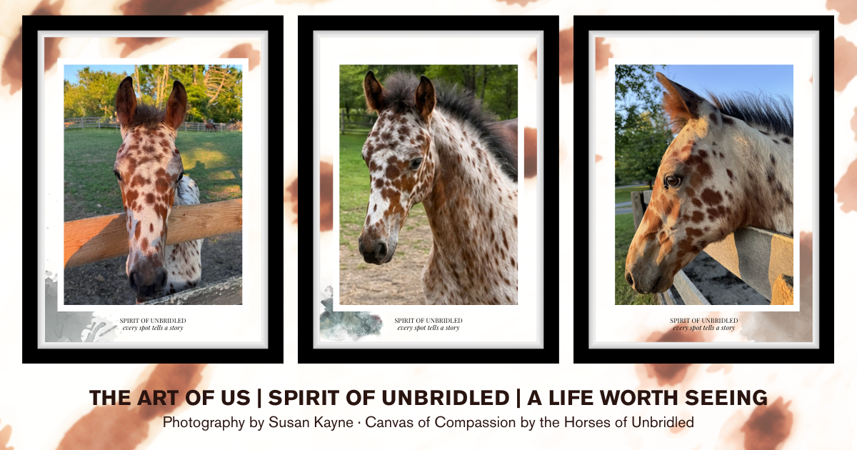 Campaign cover image for THE ART OF US: SPIRIT OF UNBRIDLED