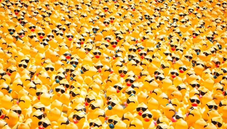 Campaign cover image for 2026 Duck Derby - Antilles School Sailing Team