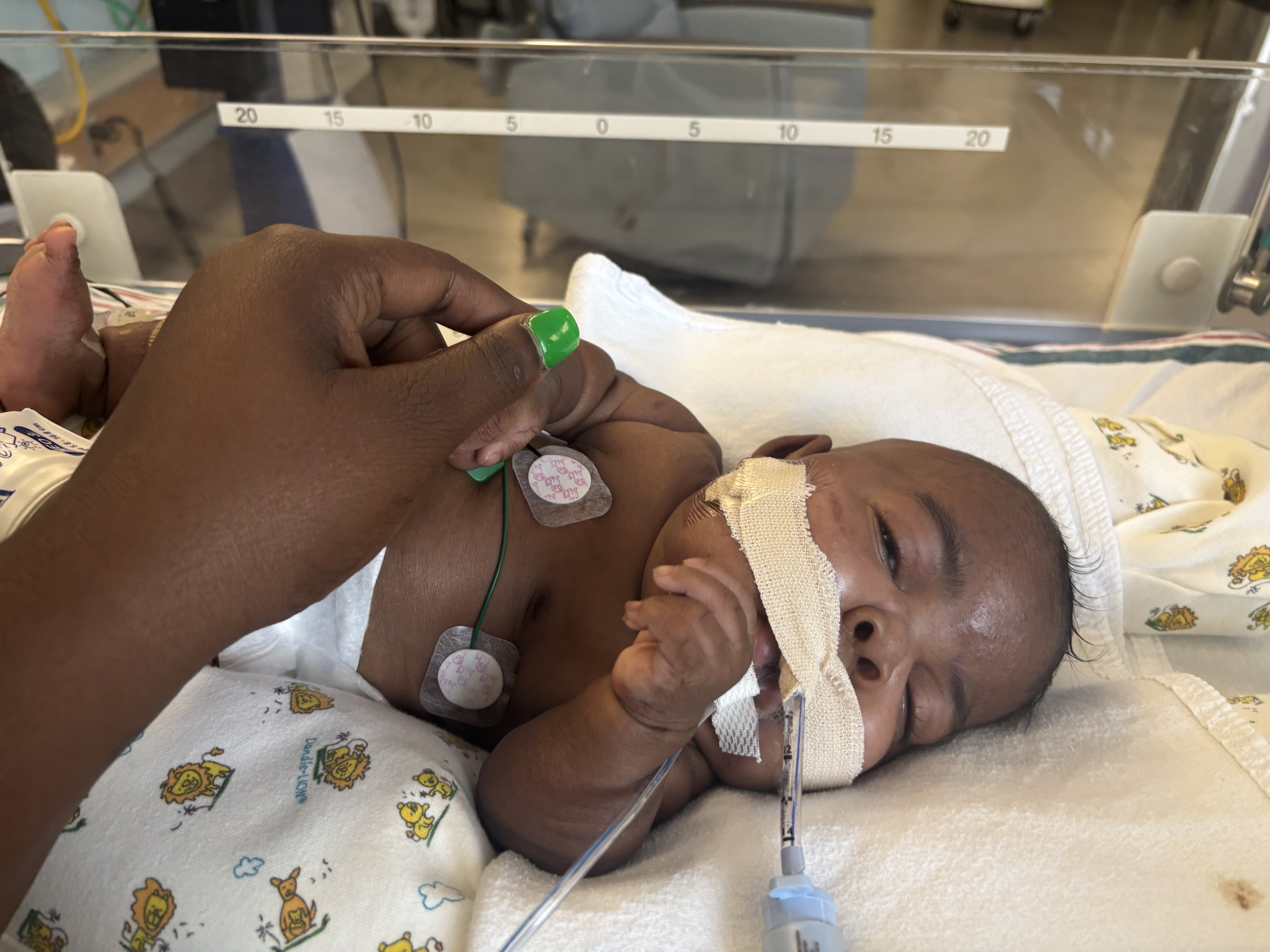 Campaign cover image for Purifoy Family Fundraiser