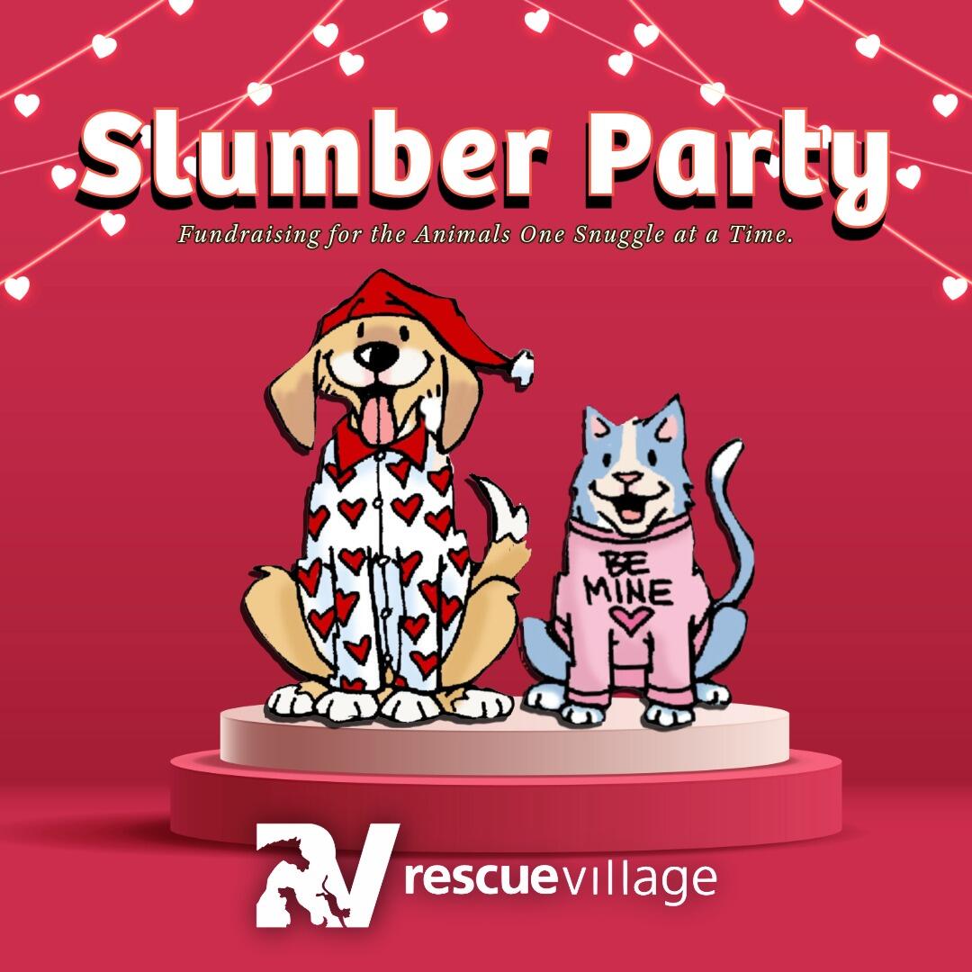 Campaign cover image for RV Slumber Party
