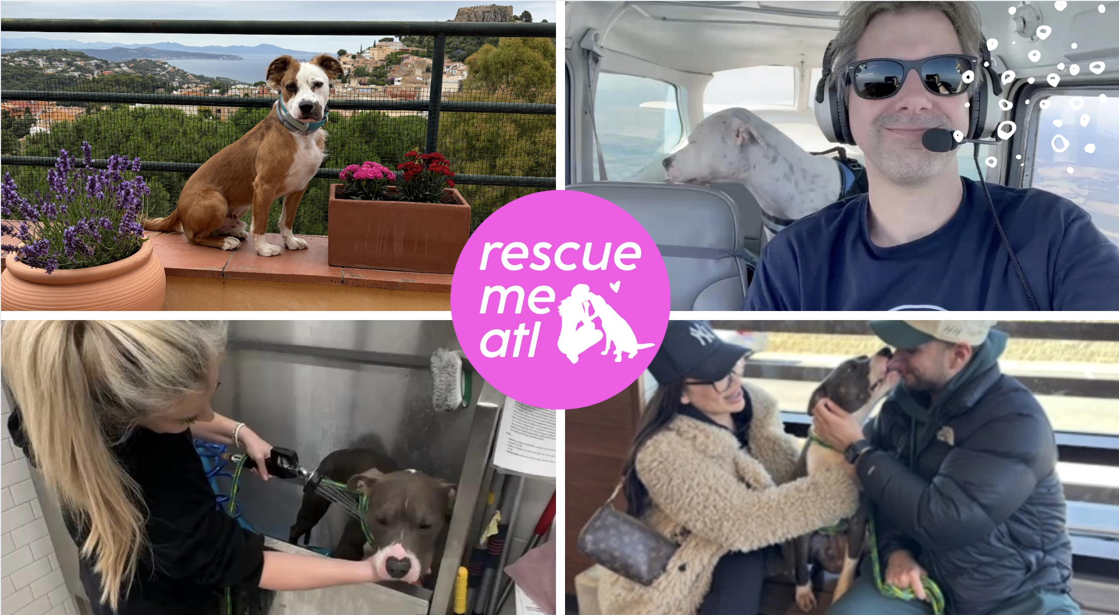 Campaign cover image for Donate to RescueMe ATL