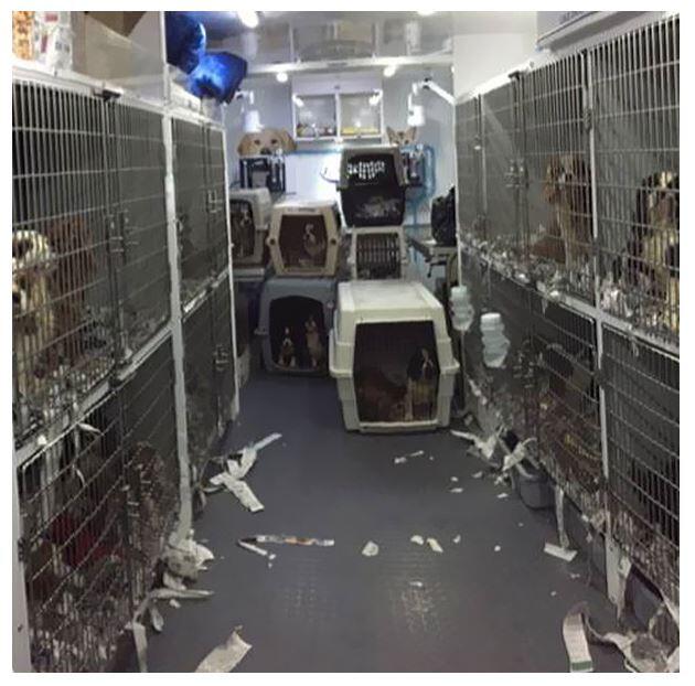 Campaign cover image for My Ticket Home