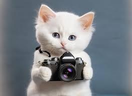 Campaign cover for Photo Contest