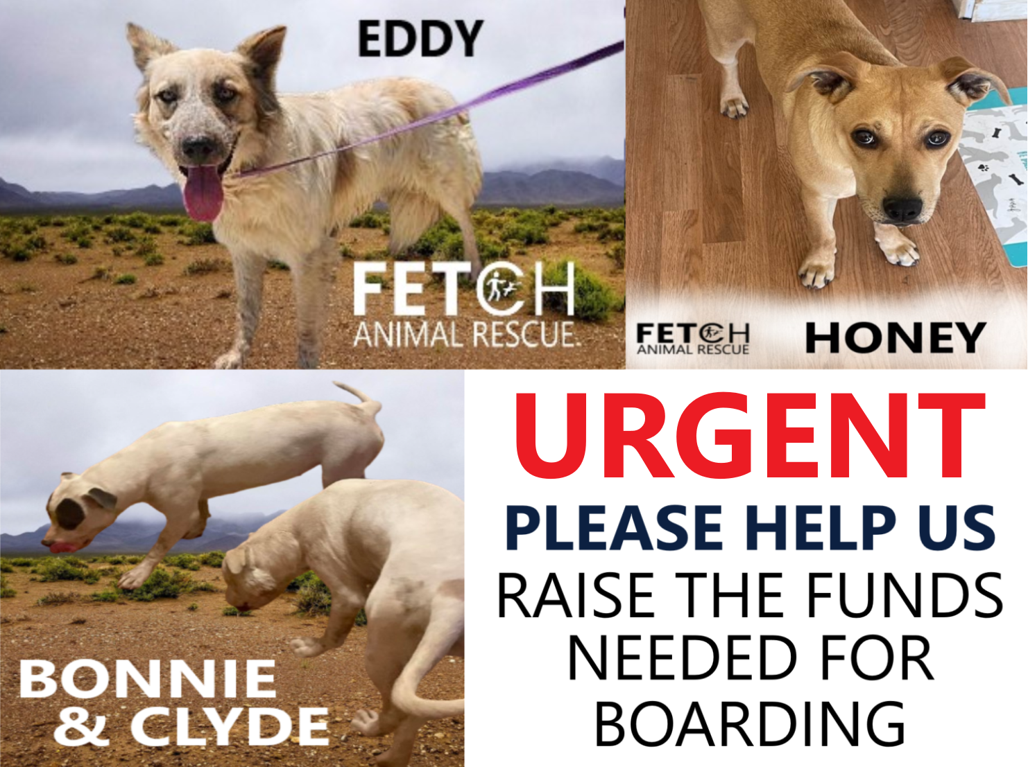 Campaign cover image for Boarding Funds Needed