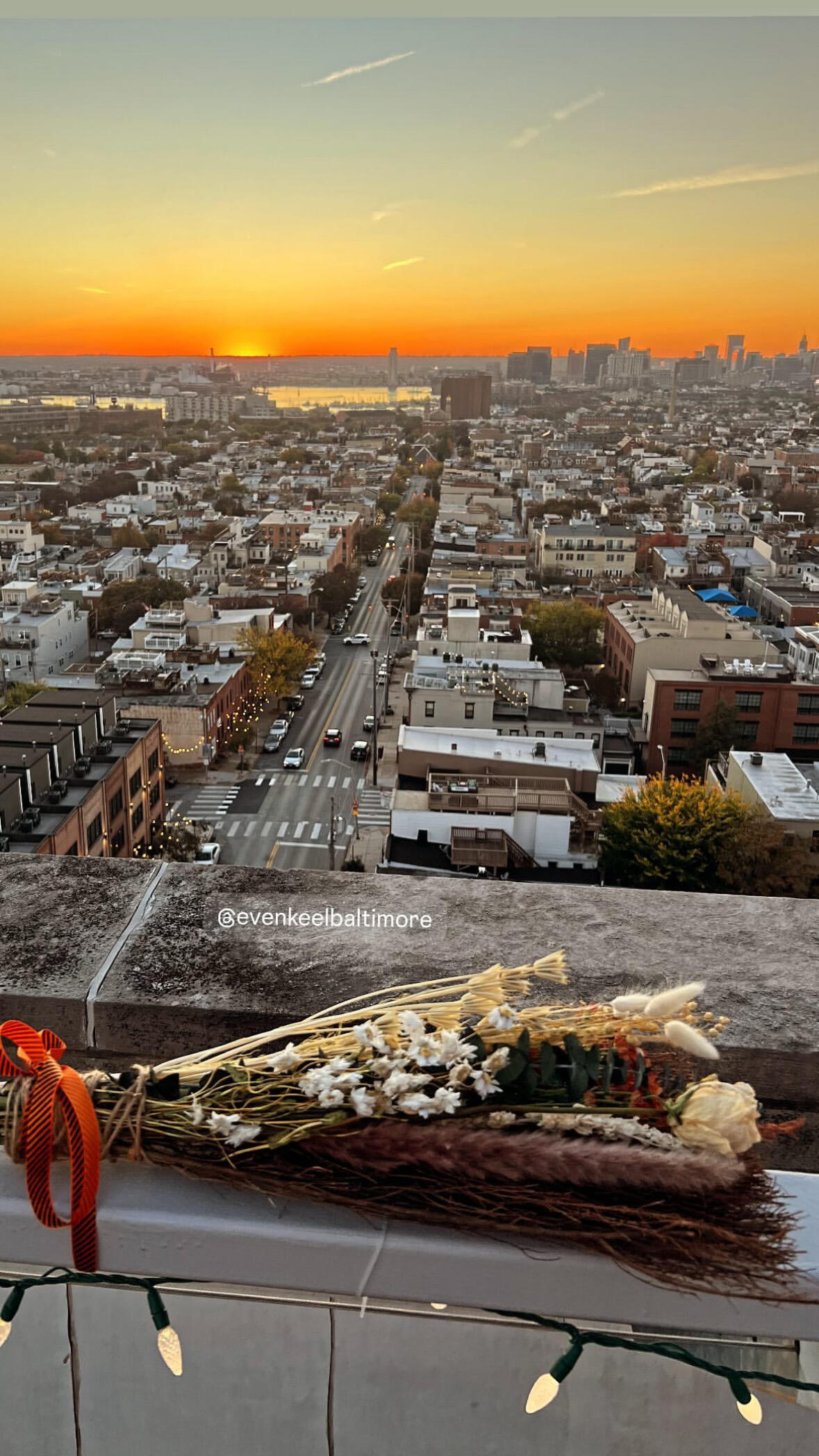 Campaign cover image for Brooms & Blooms: A DIY Witches Broom Workshop