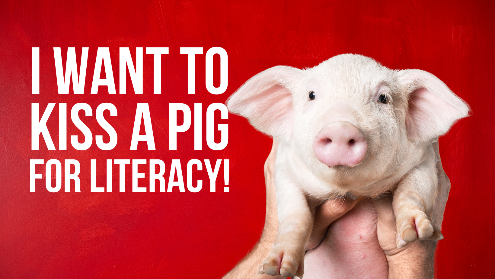 Campaign cover image for Kiss The Pig 2026