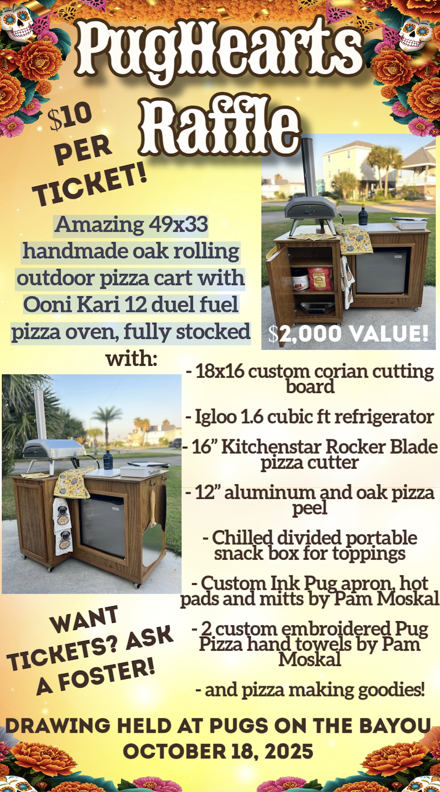 Pizza Raffle Box 2025 POTB Raffle for Pizza Oven and Cart | PugHearts of Houston